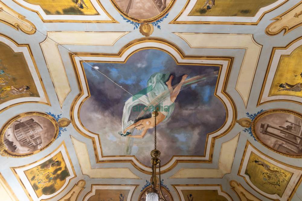 immagine annuncio 5 di 13