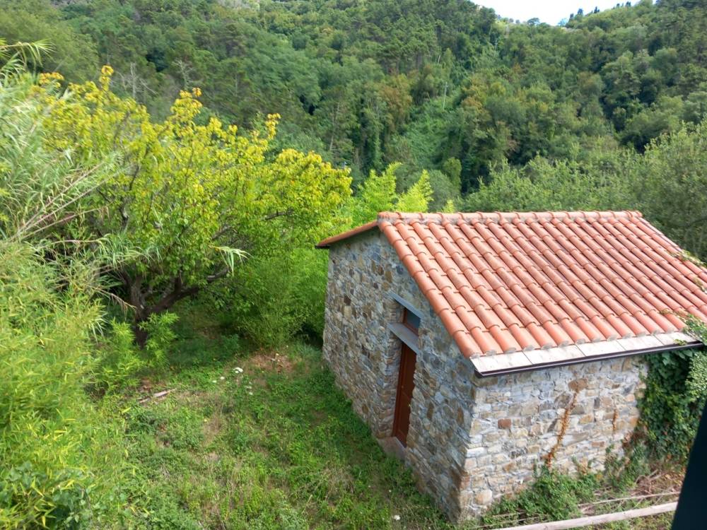 immagine annuncio 6 di 13