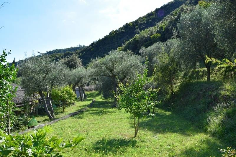 immagine annuncio 7 di 13