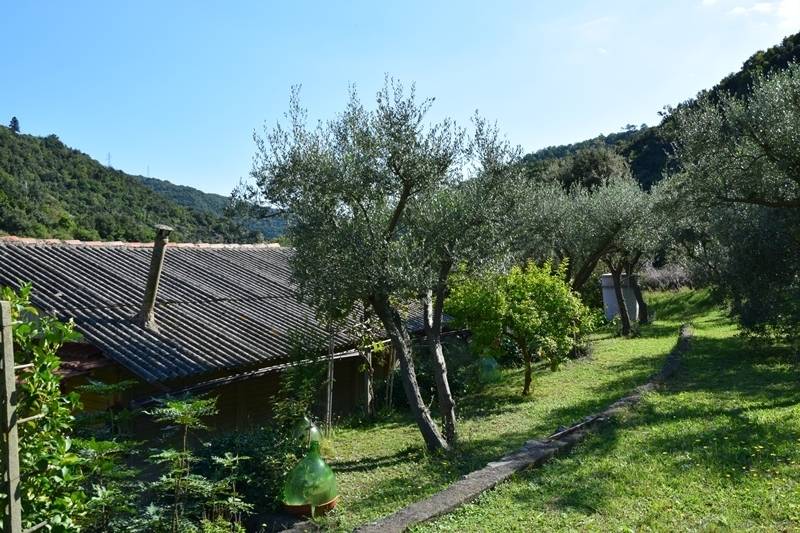 immagine annuncio 6 di 13