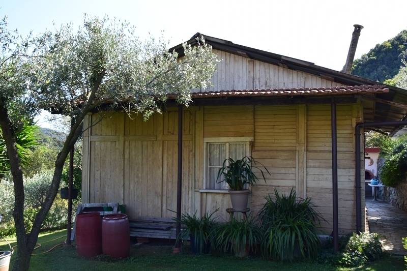 immagine annuncio 3 di 13