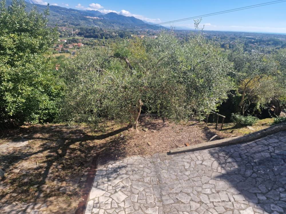 immagine annuncio 1 di 9