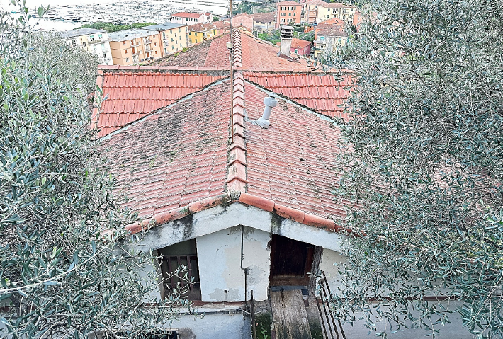 immagine annuncio 2 di 7