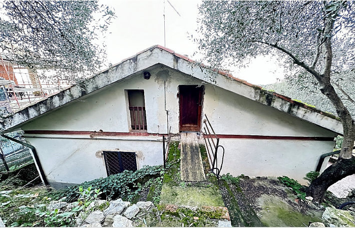 immagine annuncio 3 di 7