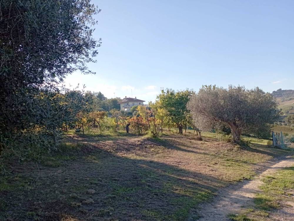 immagine annuncio 7 di 9