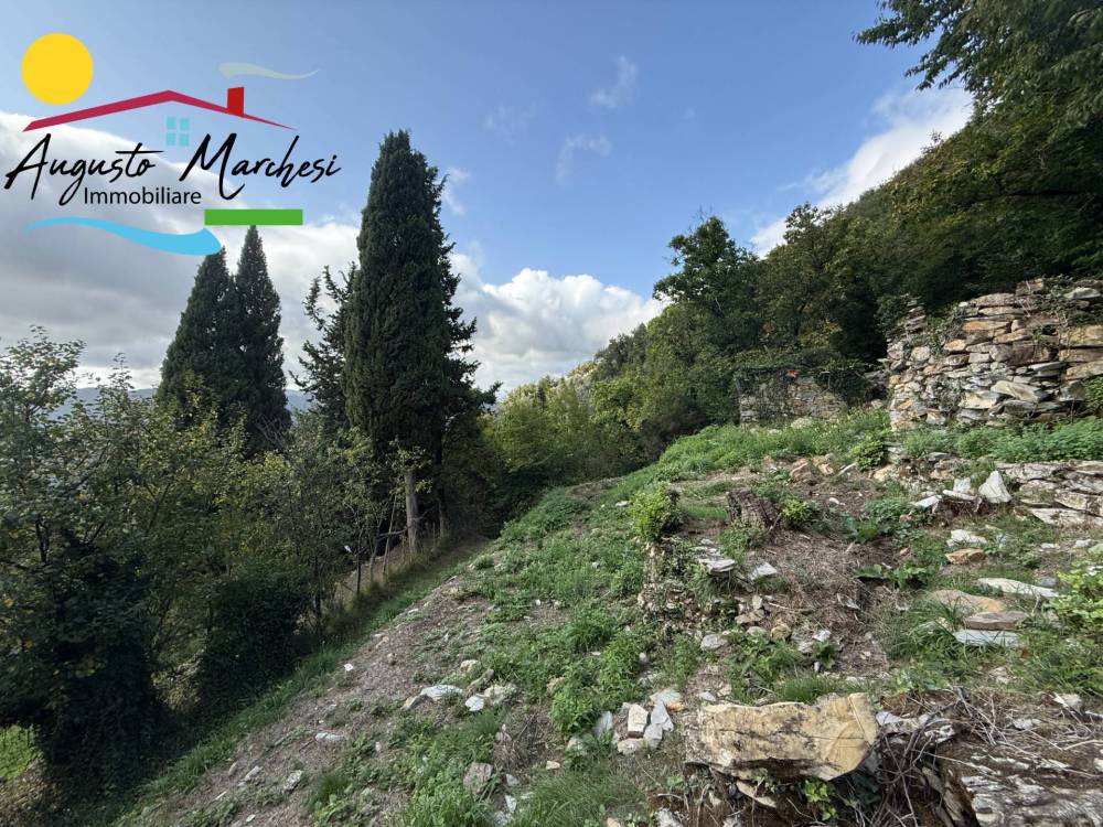 immagine annuncio 3 di 13