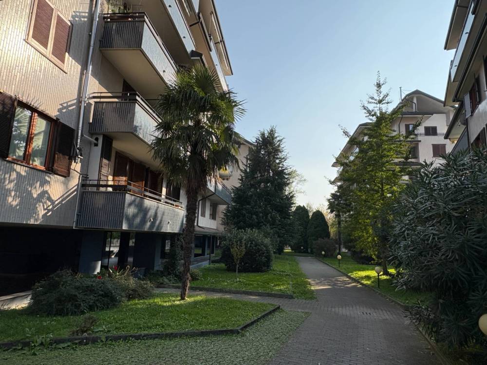 immagine annuncio 1 di 13