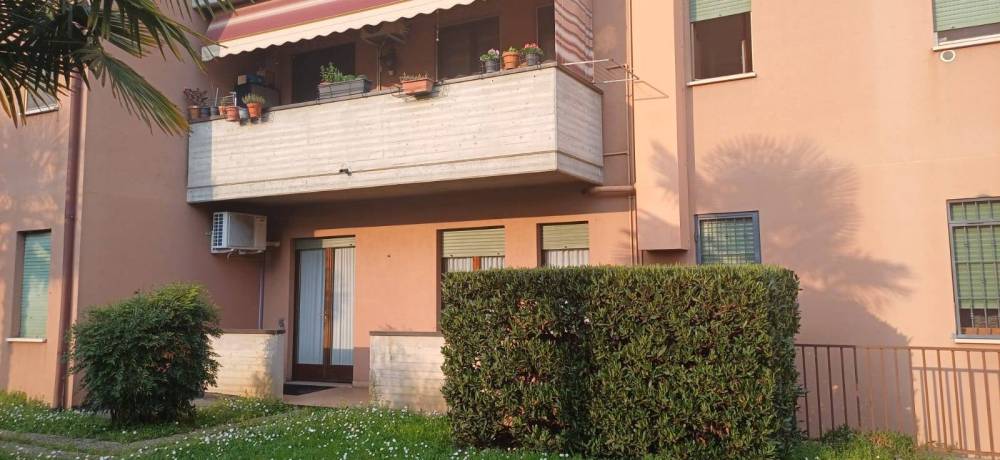 immagine annuncio 3 di 13