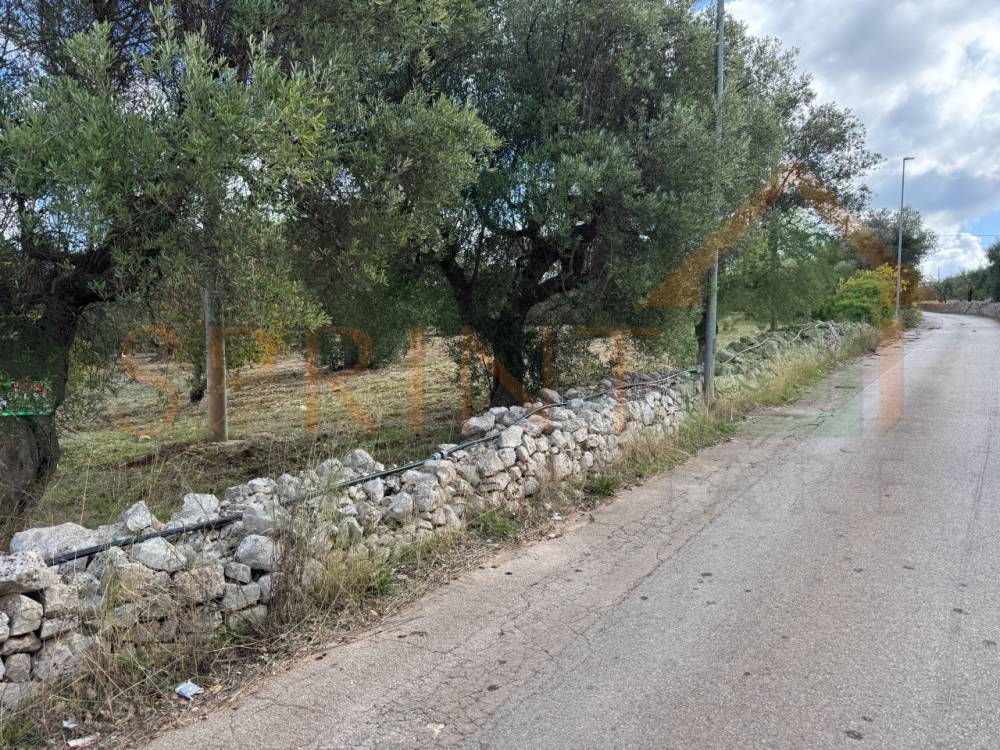 immagine annuncio 8 di 11