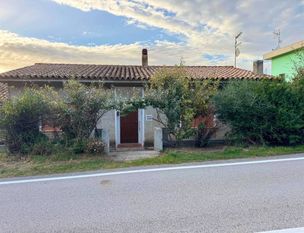 immagine annuncio 7 di 14