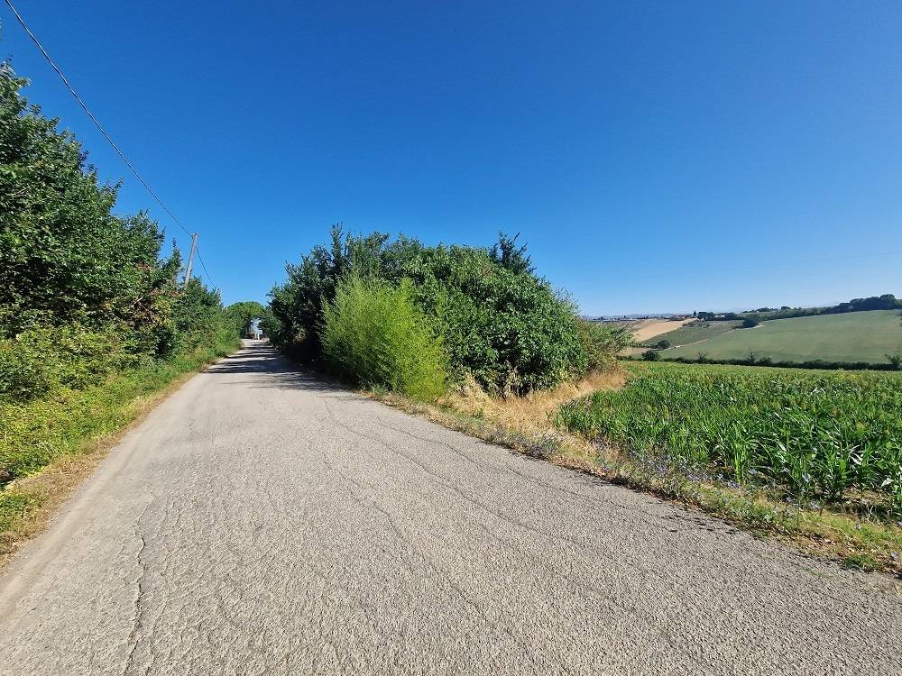 immagine annuncio 2 di 13