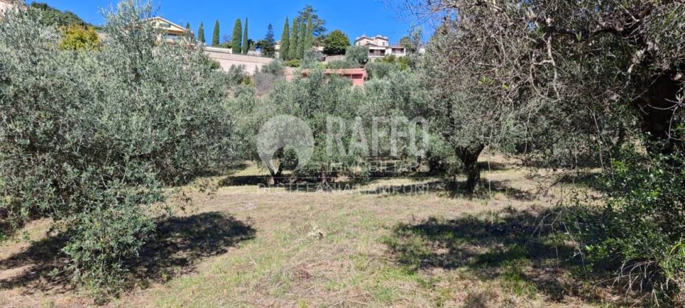 immagine annuncio 10 di 12