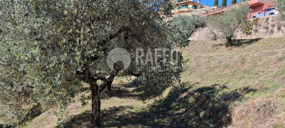 immagine annuncio 7 di 12