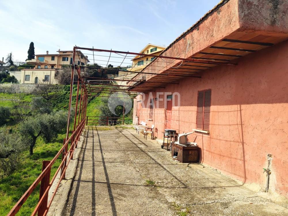 immagine annuncio 3 di 4