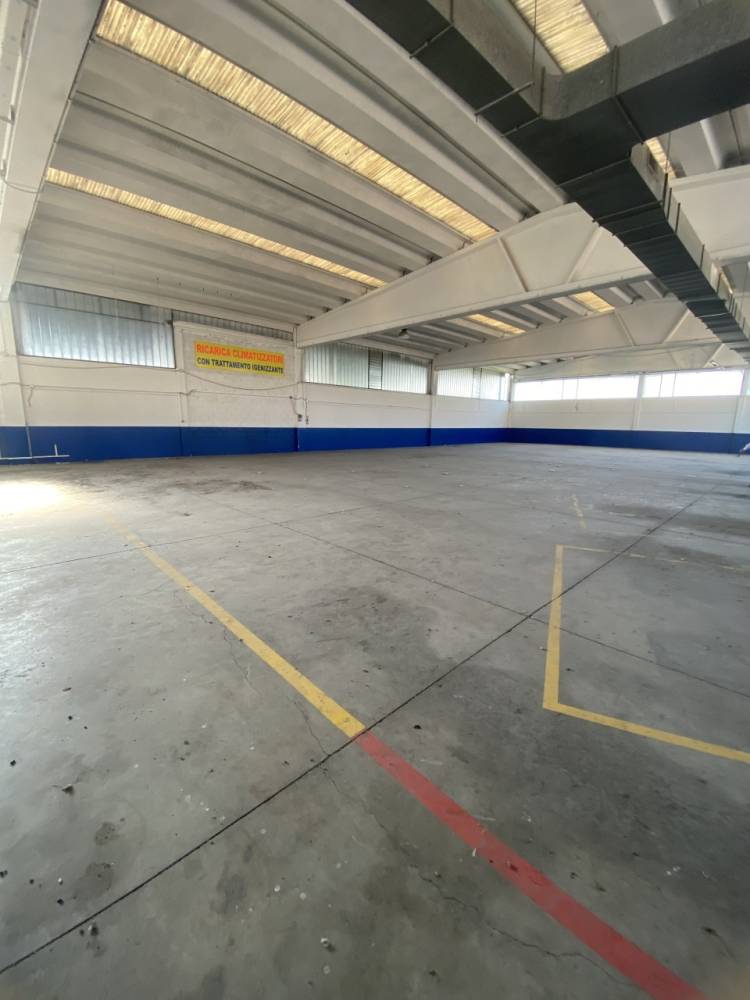 immagine annuncio 12 di 13