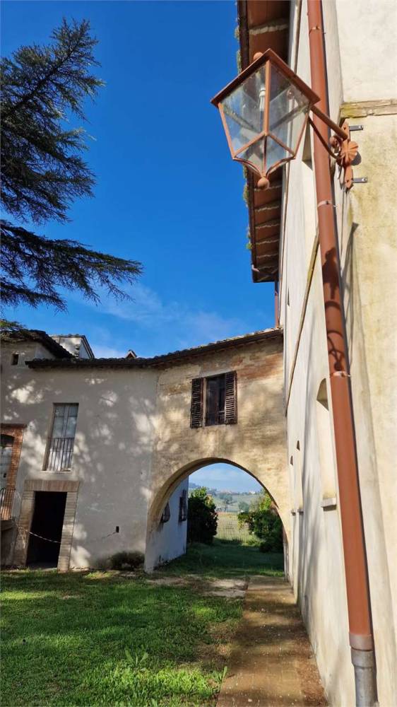 immagine annuncio 6 di 13
