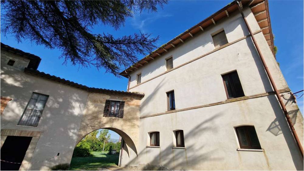 immagine annuncio 7 di 13
