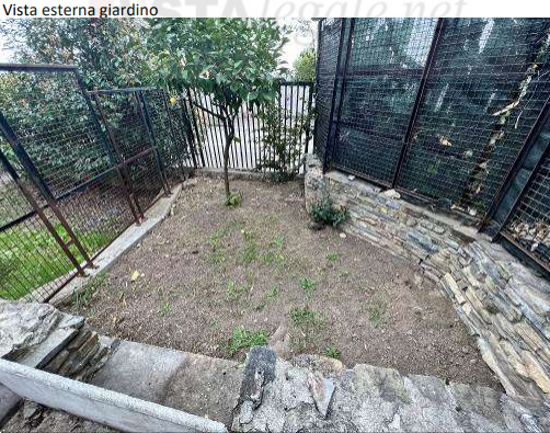 immagine annuncio 3 di 12