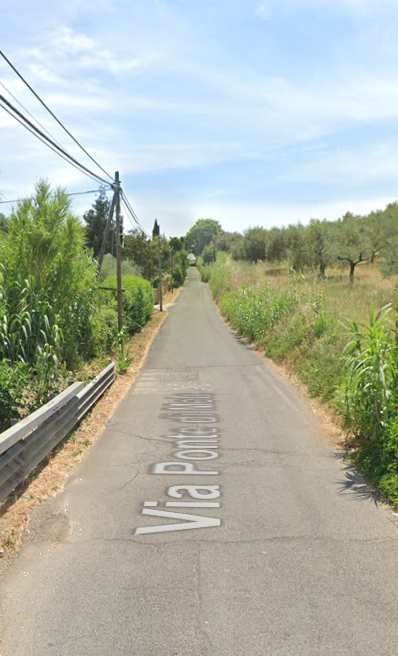 immagine annuncio 3 di 13