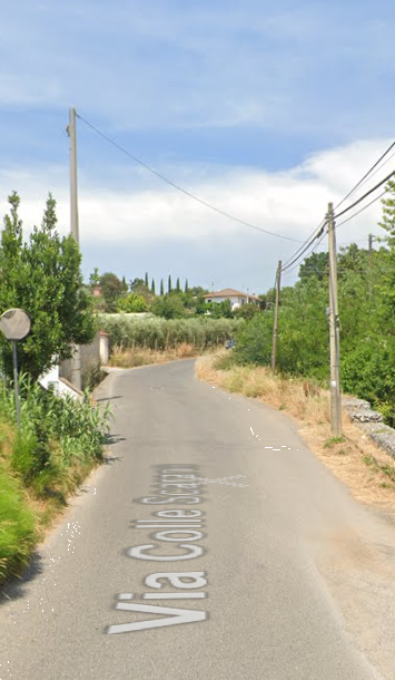 immagine annuncio 4 di 13