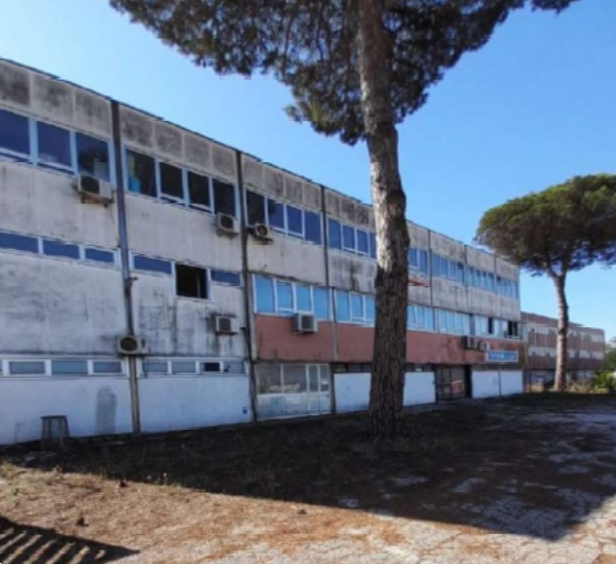 immagine annuncio 1 di 13