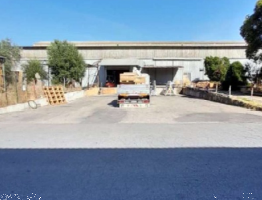 immagine annuncio 2 di 13