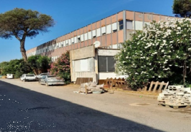 immagine annuncio 6 di 13