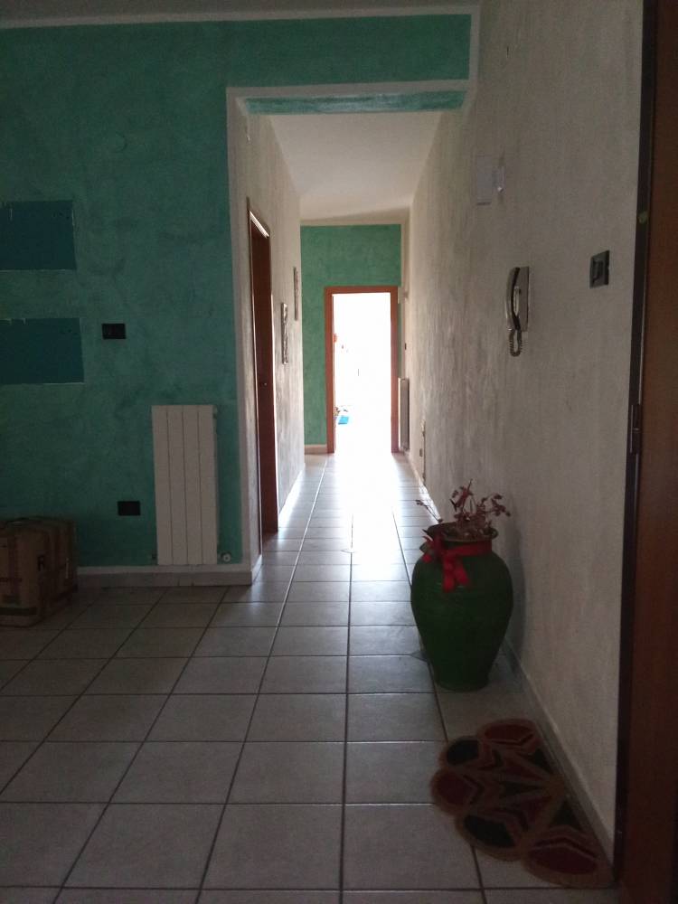 immagine annuncio 4 di 8