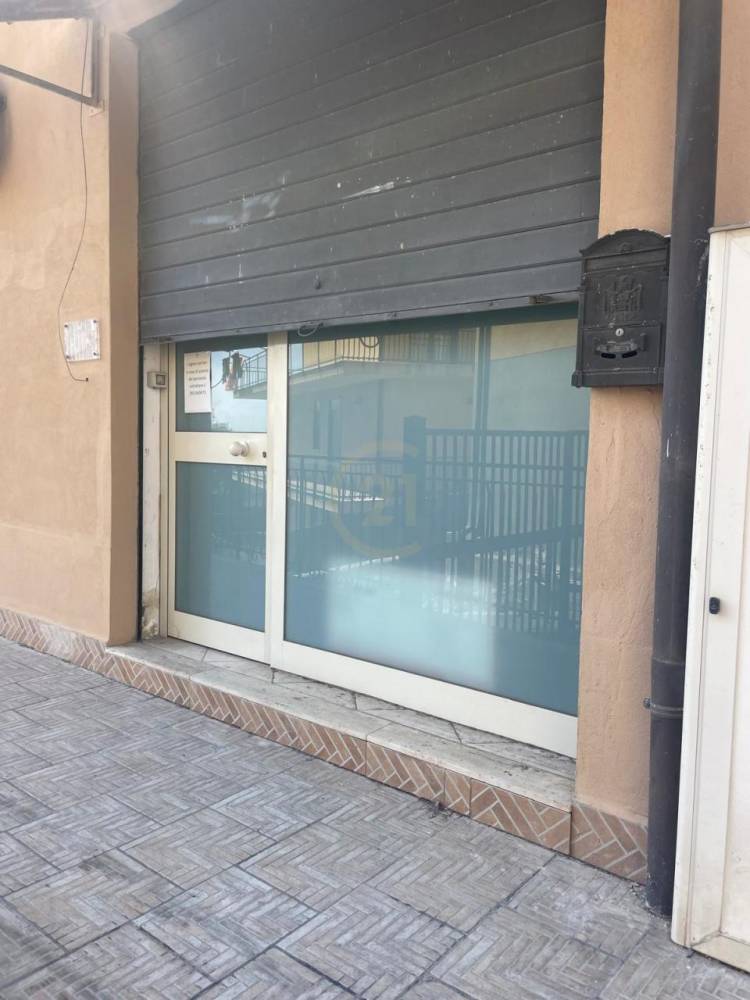 immagine annuncio 3 di 7