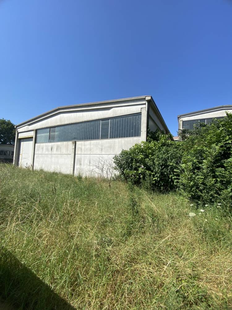 immagine annuncio 2 di 13