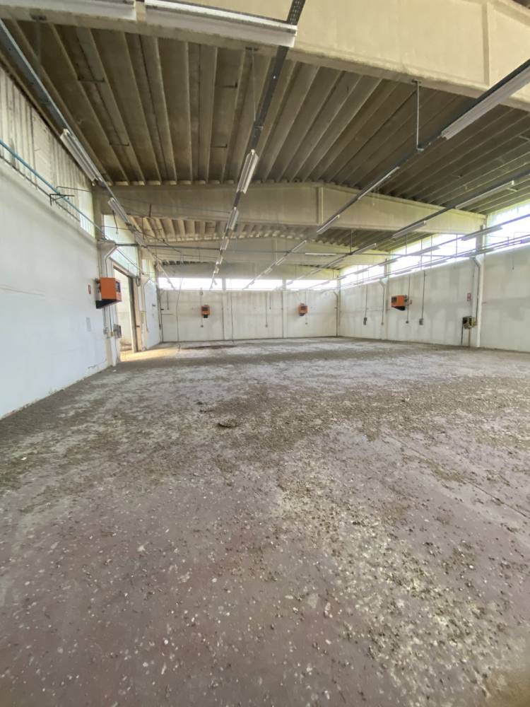 immagine annuncio 5 di 13