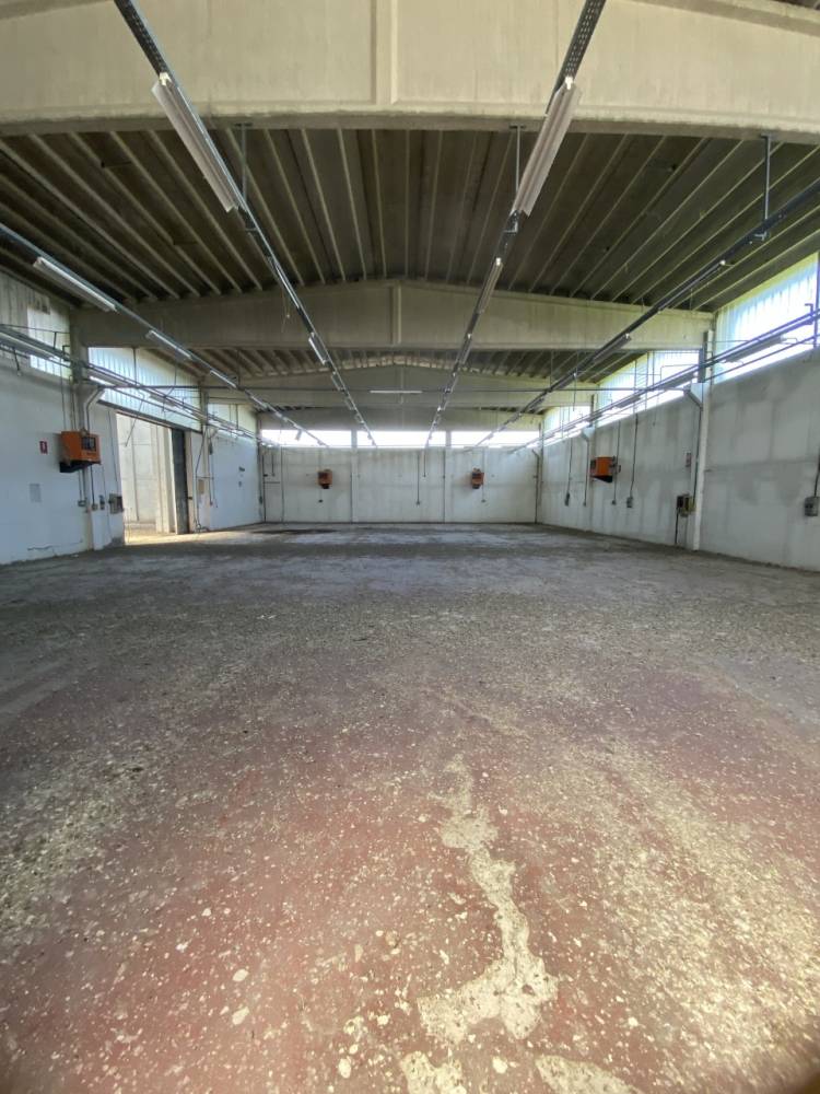 immagine annuncio 10 di 13