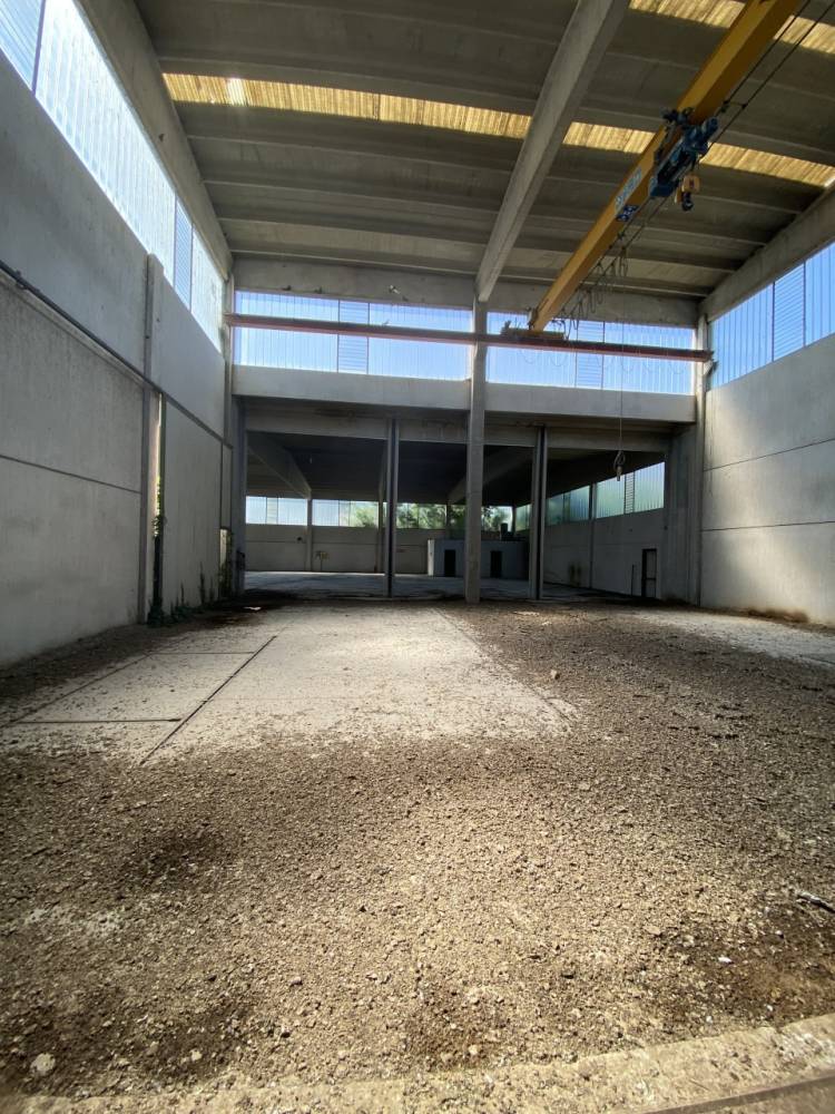 immagine annuncio 7 di 13