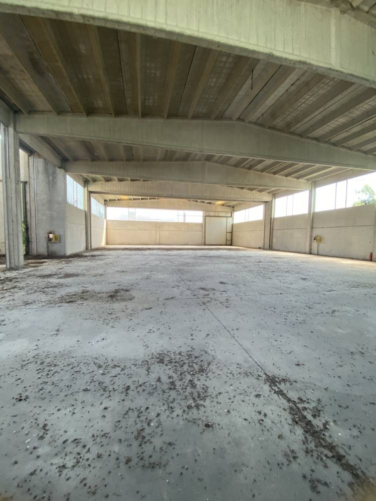 immagine annuncio 4 di 13