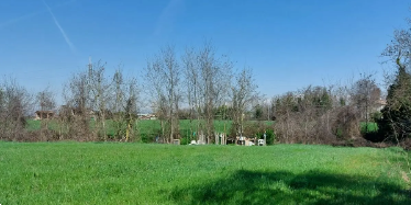 immagine annuncio 2 di 13