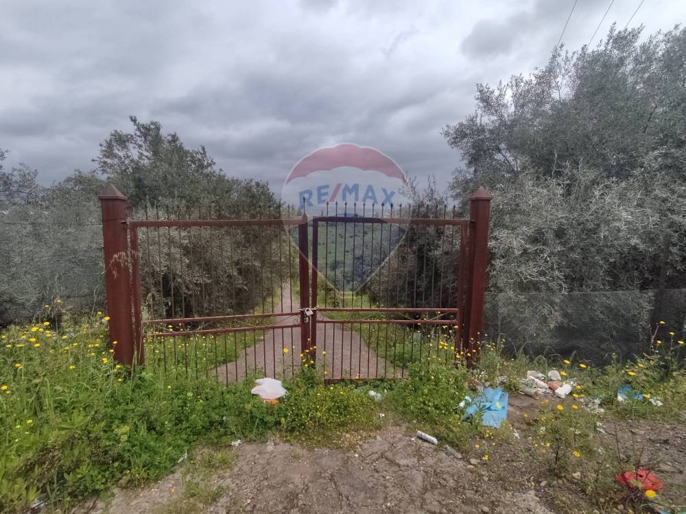 immagine annuncio 7 di 13