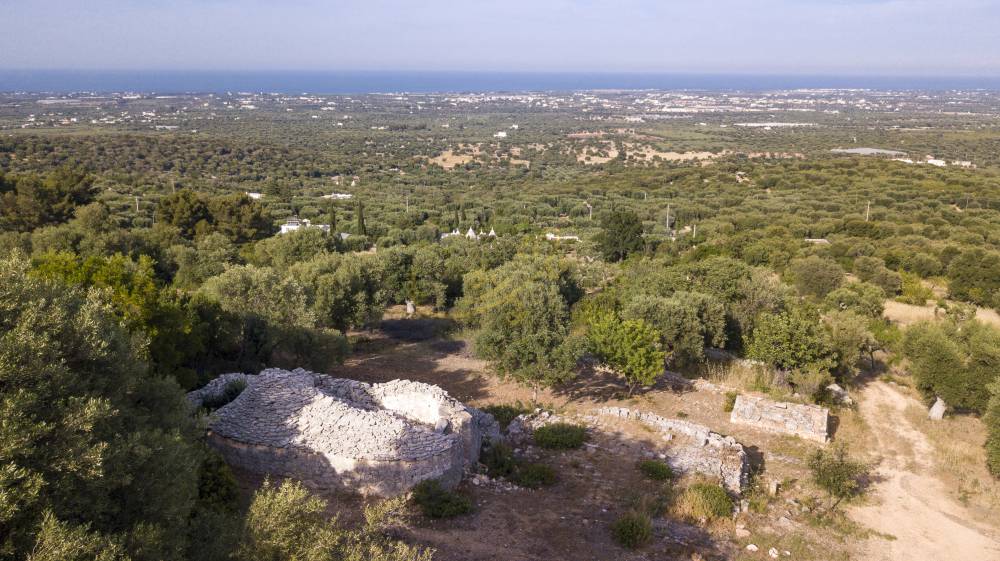 immagine annuncio 8 di 13