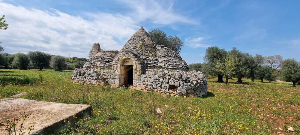 immagine annuncio 1 di 13