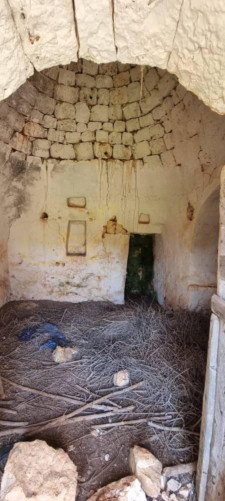 immagine annuncio 5 di 13
