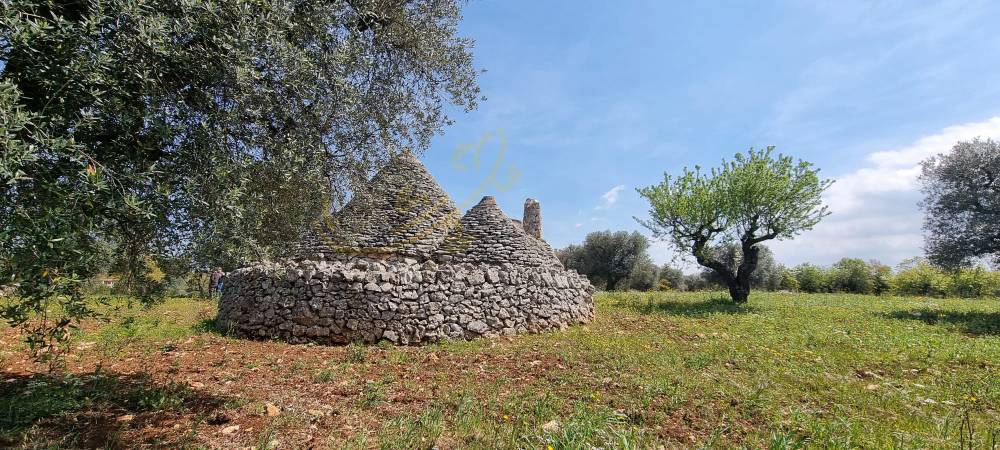 immagine annuncio 4 di 13