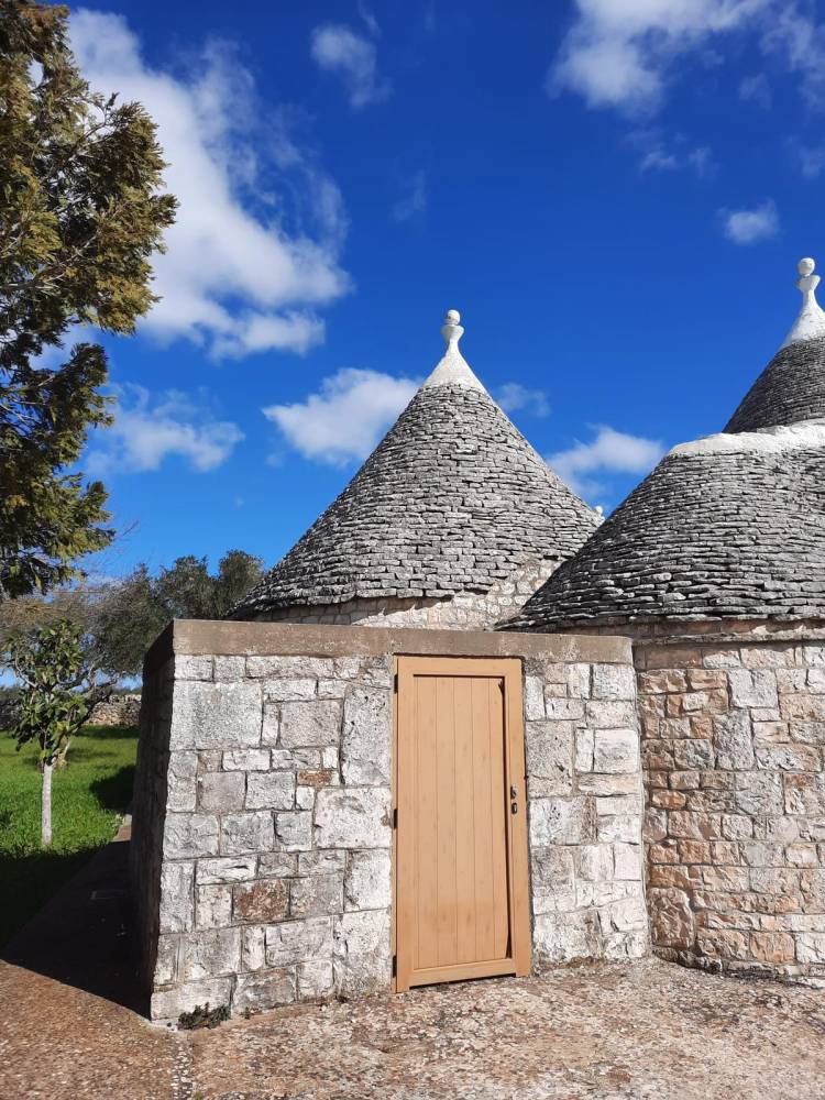 immagine annuncio 5 di 13