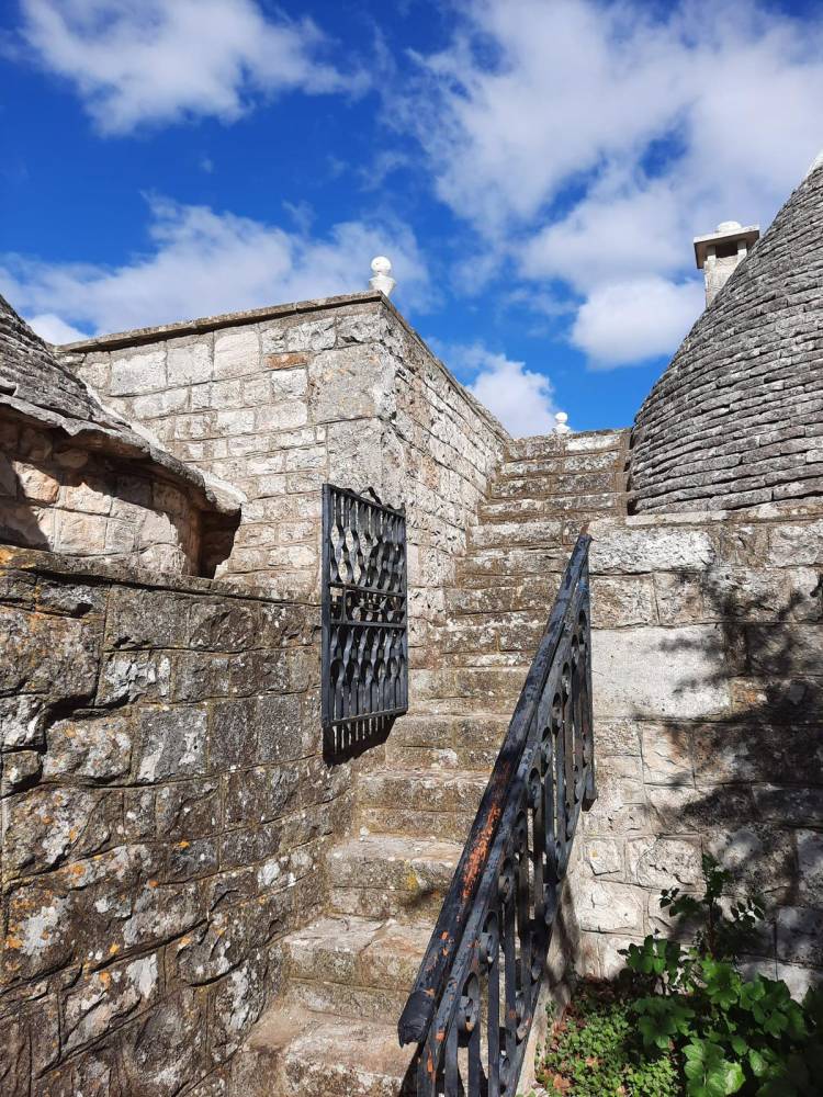 immagine annuncio 7 di 13