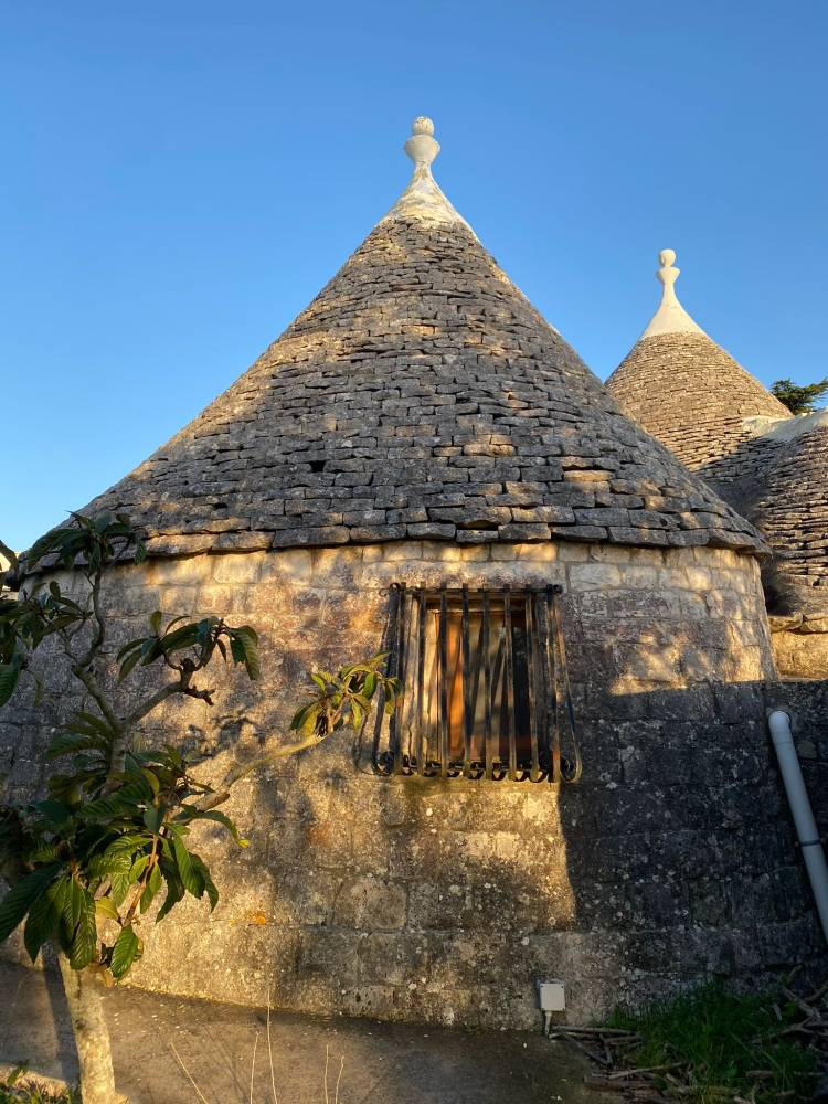 immagine annuncio 9 di 13