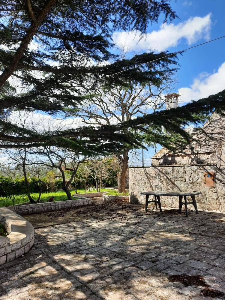 immagine annuncio 10 di 13