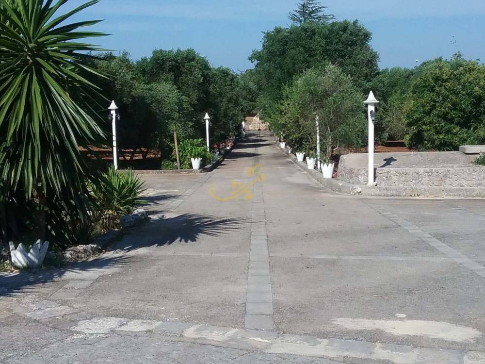 immagine annuncio 11 di 13