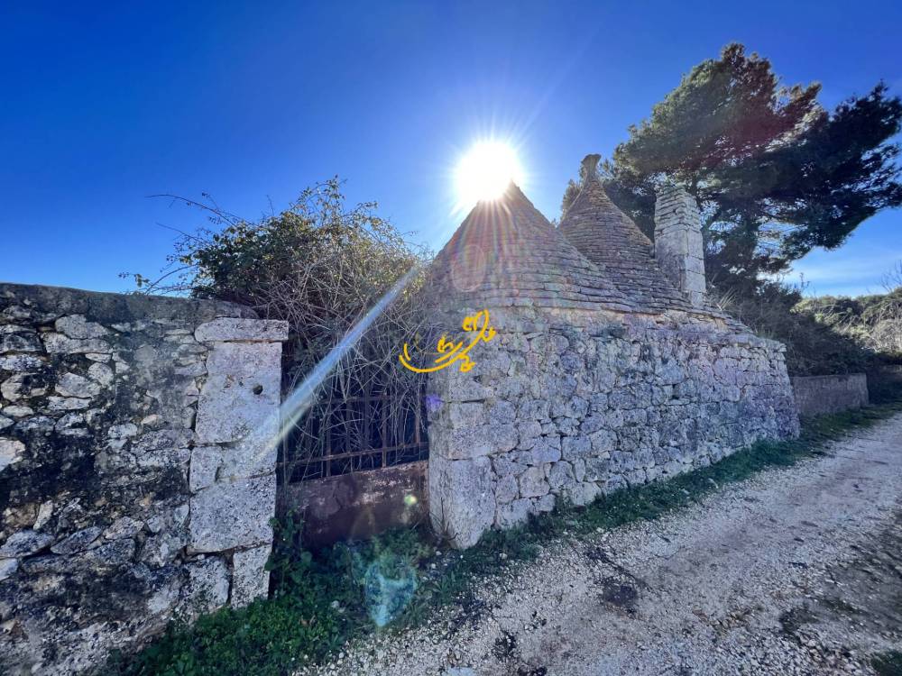immagine annuncio 9 di 13