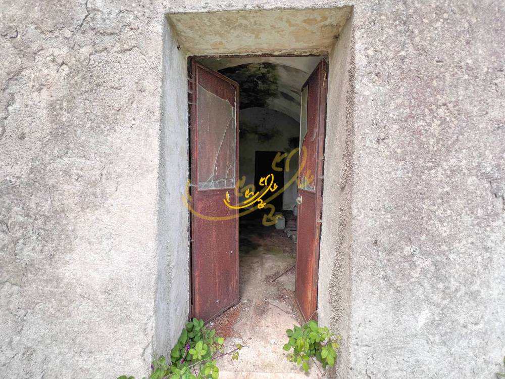 immagine annuncio 10 di 13