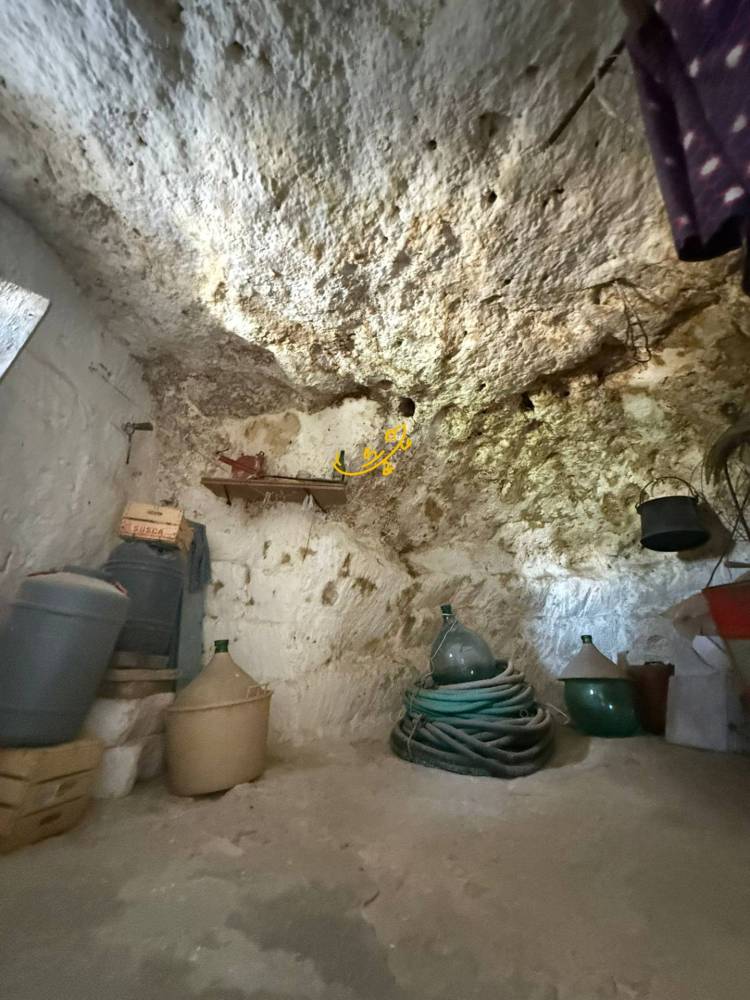 immagine annuncio 12 di 13