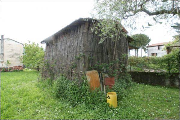 immagine annuncio 1 di 2