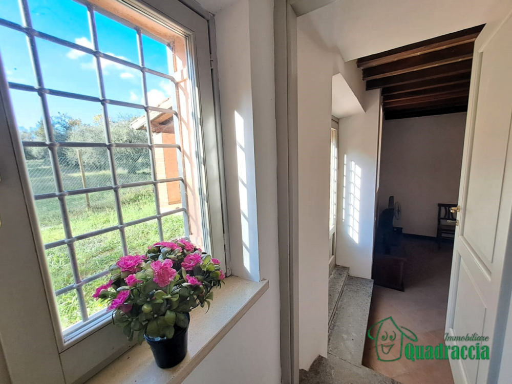 immagine annuncio 10 di 14